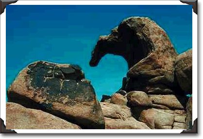 Joshua Tree National Park, California Joshua Tree National Park, California