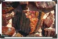Petrified wood wall Petrified wood wall
