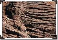 Beach cliff erosion textures, San Clemente Beach cliff erosion textures, San Clemente