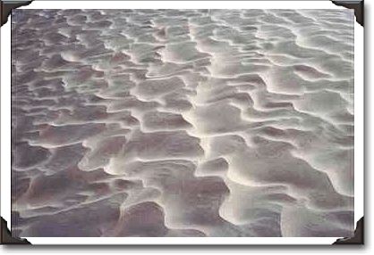 Ripples on sand dune, Death Valley, California Ripples on sand dune, Death Valley, California