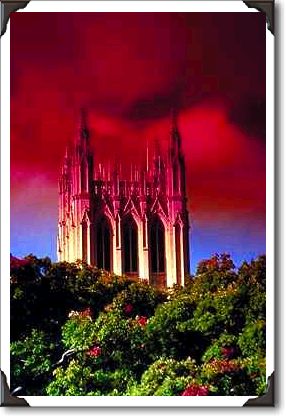The National Cathedral, Washington, D.C. The National Cathedral, Washington, D.C.