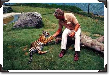 Meeting a tiger cub at the zoo, San Mateo, California Meeting a tiger cub at the zoo, San Mateo, California