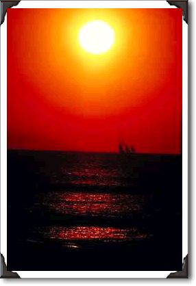 Summer dreams, sailing off the coast of southern California Summer dreams, sailing off the coast of southern California