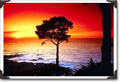 Sunset on the famous Monterey Peninsula, Monterey, California Sunset on the famous Monterey Peninsula, Monterey, California
