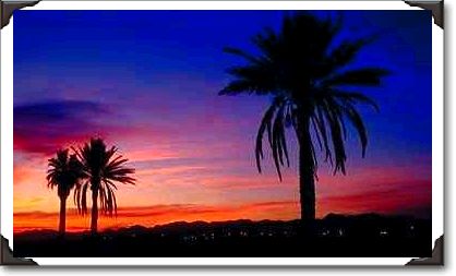 Semi-tropical landscape, Arizona Semi-tropical landscape, Arizona
