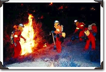 Working fire line, Ventura County, California Working fire line, Ventura County, California