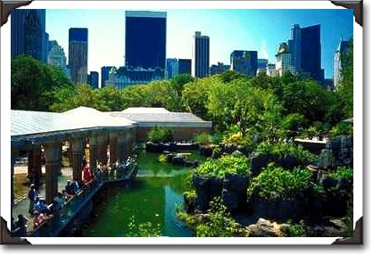 The zoo in Central Park, New York The zoo in Central Park, New York