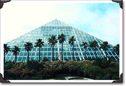 Rainforest pyramid, southern Texas Rainforest pyramid, southern Texas