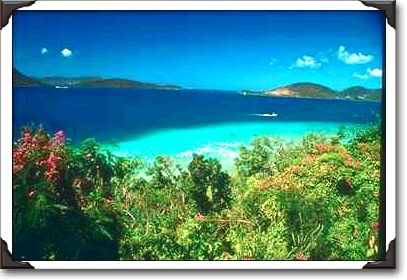 Beach along north side of St. John Beach along north side of St. John