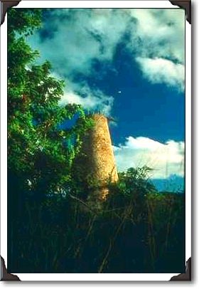 Sugar mill ruins, St. Croix Sugar mill ruins, St. Croix