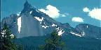 Gravel-sided Mountain, Forest