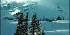 Ski Tracks On Mountain