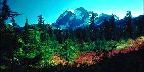 Mountain Over Red And Yellow Foliage