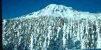 Snowladen Treeline With Peak Behind