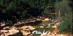 Hikers At Desert River