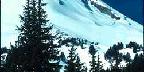 Trees, Snowy Peak And Sky
