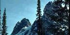 Tall Trees And Peaks
