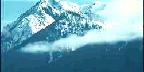 Forested Mountains