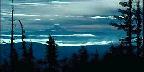 Tree Silhouettes With Mountain Vista