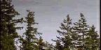 Clouds Between Mountains And Trees
