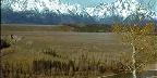 Mountains Behind Plateau, Birch Tree