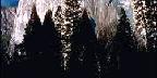 Vertical Cliff Face