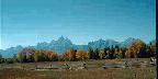 Old Fence, Fall Trees, Mountain Range