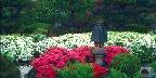 Portland, The Japanese Gardens