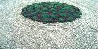 Portland, The Japanese Gardens, A Flat Garden (hiraniwa)