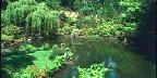 Portland, The Japanese Gardens