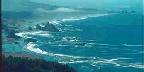 Cape Sebastian State Park