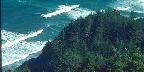 Cape Sebastian State Park