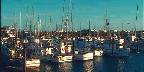 Brookings Harbor