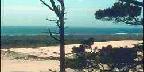 Oregon Dunes National Recreation Area