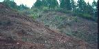 Douglas County, Hills After Logging Clearcut