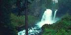 Willamette National Forest, Mckenzie River, Sahalie Falls