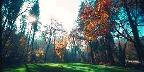 Ashland, Lithia Park