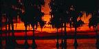 Cypress Gardens, Florida