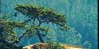 Rosario Beach, Fidalgo Island, Washington State