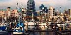 Tuna fleet and downtown waterfront