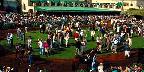 Reviewing the horses, Del Mar Racetrack