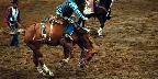 Bucking bronco, Del Mar Fair