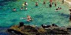 "The Children's Pool", La Jolla