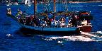 Harbor excursion boat, San Diego Bay