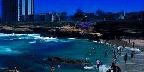 "The Children's Pool", La Jolla