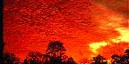 Sunset over Citrus County