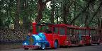Sightseeing train, St. Augustine
