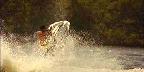Jet skiing on the Intra-coastal Waterway