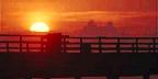 Sunrise at the fishing pier, Dania