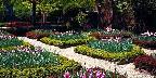 Colonial style garden